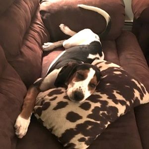 Meet your Posher, Jamie